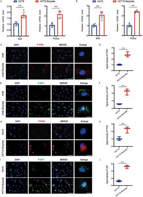 Intratumor microbiome-derived butyrate promotes chemo-resistance in colorectal cancer